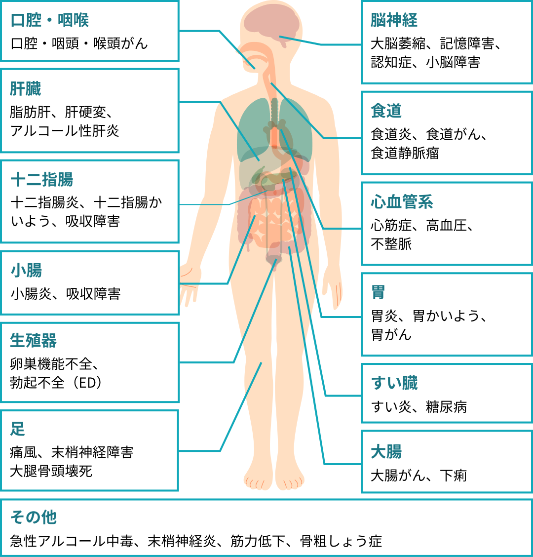 イラスト：お酒の飲みすぎが人体に与える悪影響を視覚的に示したものです。上から「脳神経：大脳萎縮、記憶障害、認知症、小脳障害」「口腔・咽喉：口腔・咽頭・喉頭がん」「食道：食道炎、食道がん、食道静脈瘤」「心血管系：心筋症、高血圧、不整脈」「肝臓：脂肪肝、肝硬変、アルコール性肝炎」「胃：胃炎、胃かいよう、胃がん」「十二指腸：十二指腸炎、十二指腸かいよう、吸収障害」「すい臓：すい炎、糖尿病」「小腸：小腸炎、吸収障害」「大腸：大腸がん、下痢」「生殖器：卵巣機能不全、勃起不全（ED）」「足：通風、末梢神経障害、大腿骨頭壊死」「その他：急性アルコール中毒、末梢神経炎、筋力低下、骨粗しょう症」