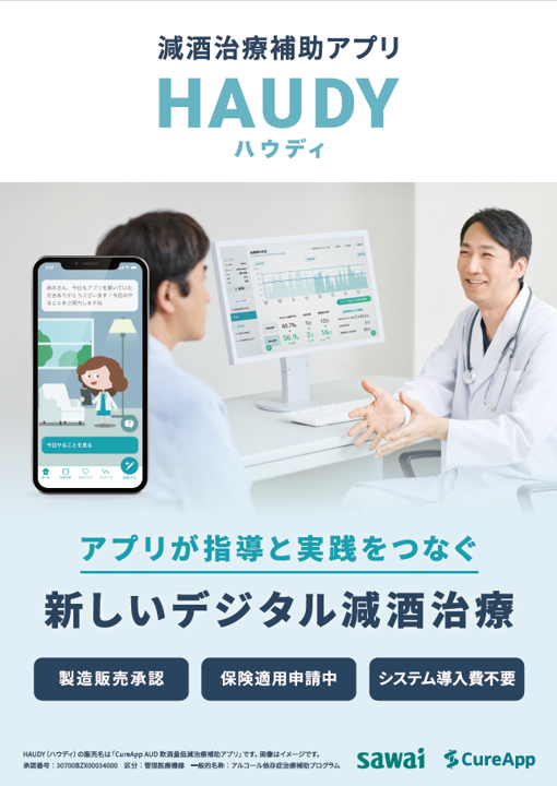HAUDY_pamphlet_2507.png